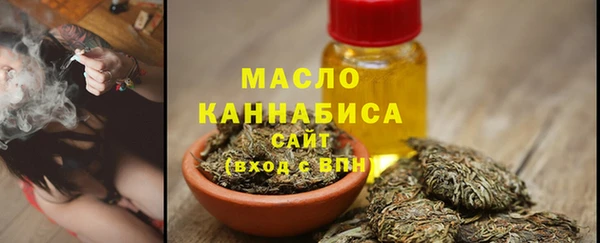 стаф Инта