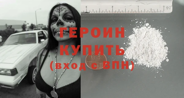 стаф Инта