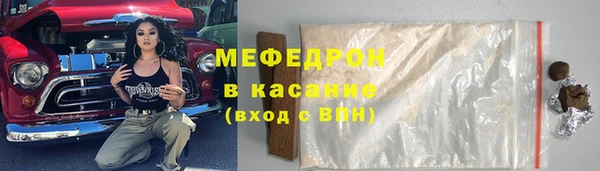 стаф Инта