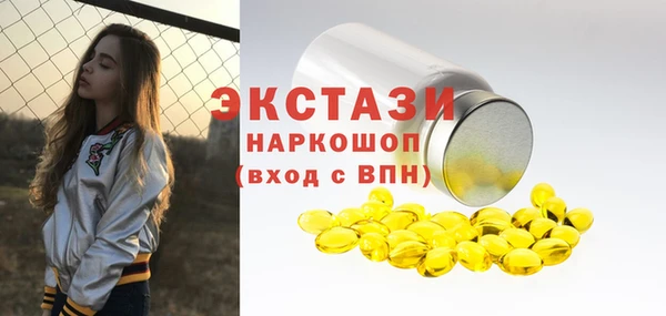 стаф Инта