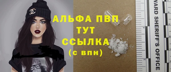 стаф Инта