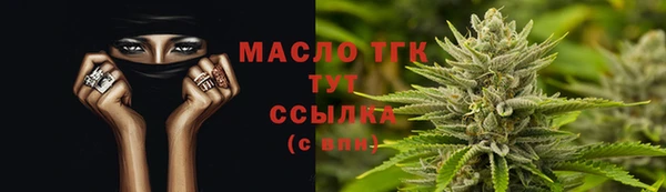 стаф Инта