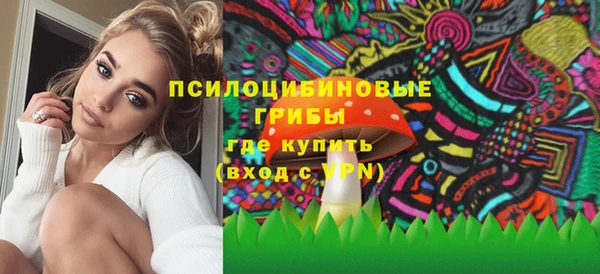 стаф Инта