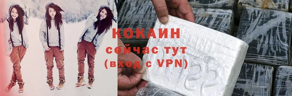 стаф Инта