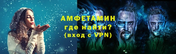 стаф Инта