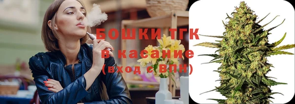 стаф Инта