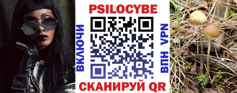 Галлюциногенные грибы MAGIC MUSHROOMS  Долгопрудный 